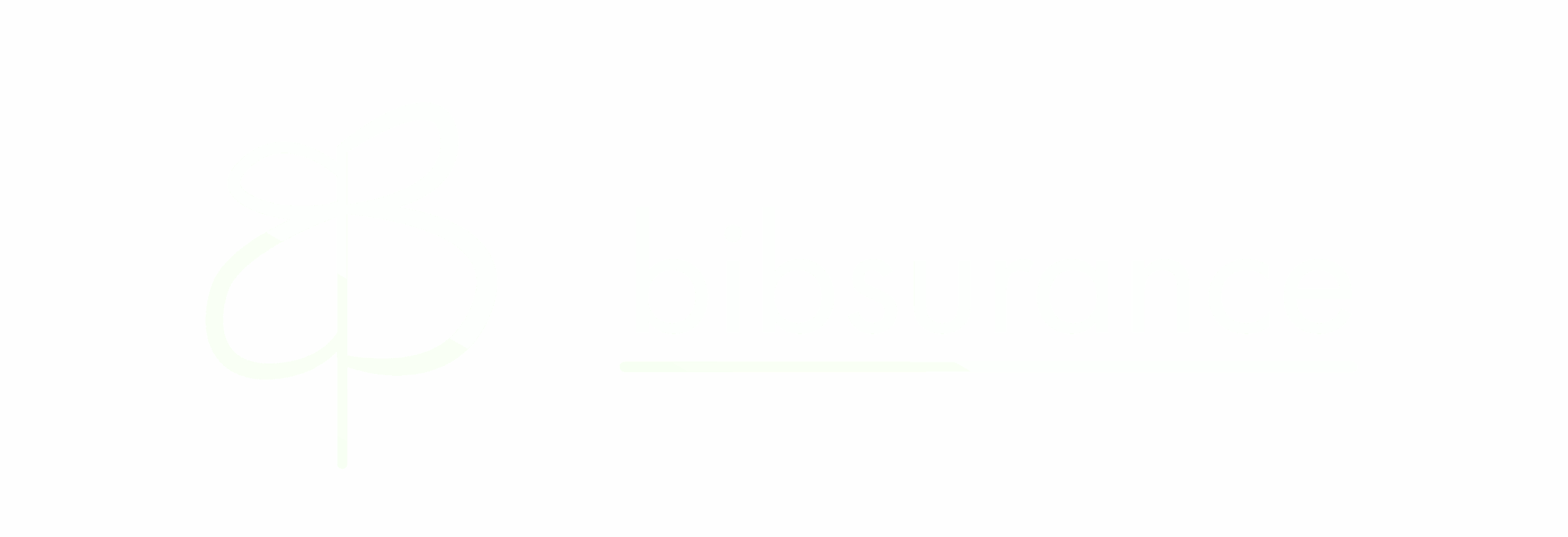 Bibsurance Logo Negativ